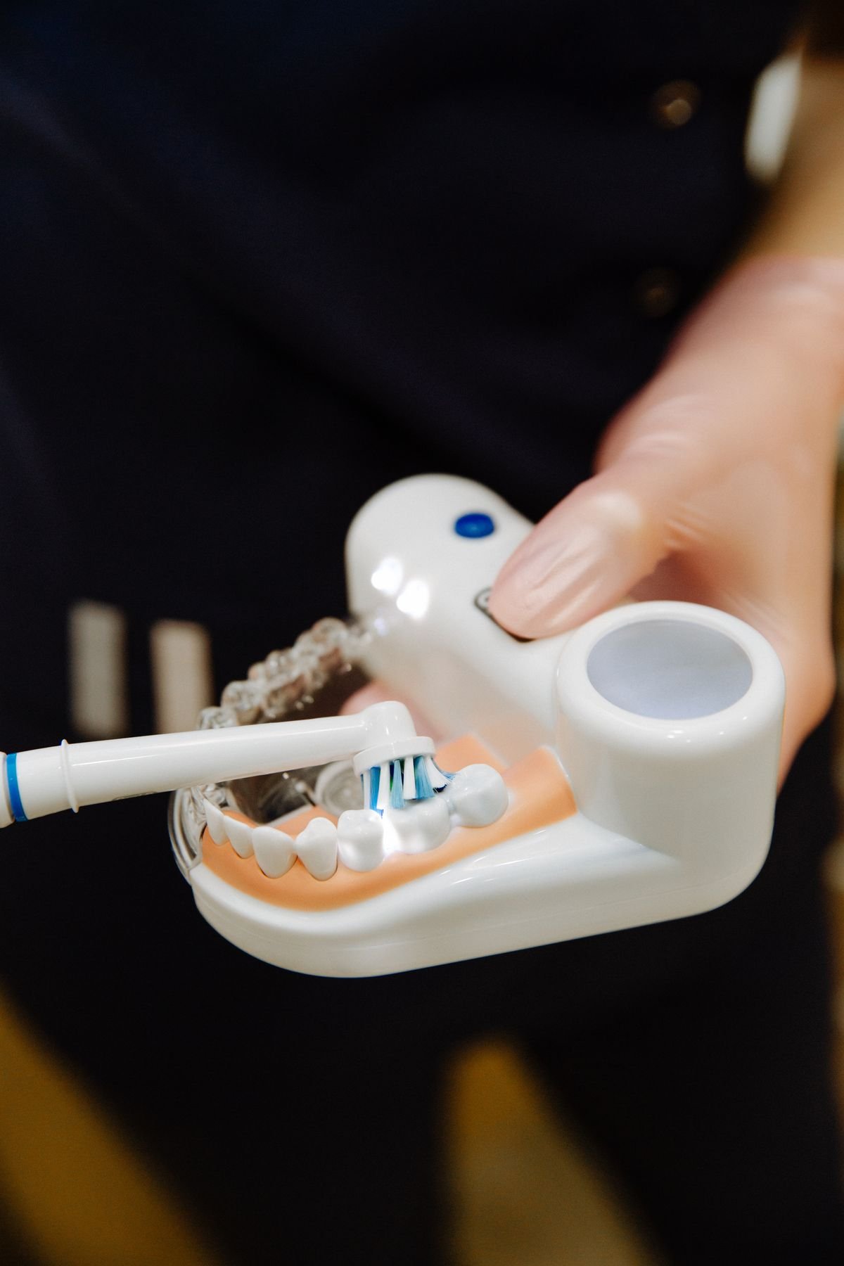 Electric toothbrush cleaning a dental model, demonstrating proper brushing technique